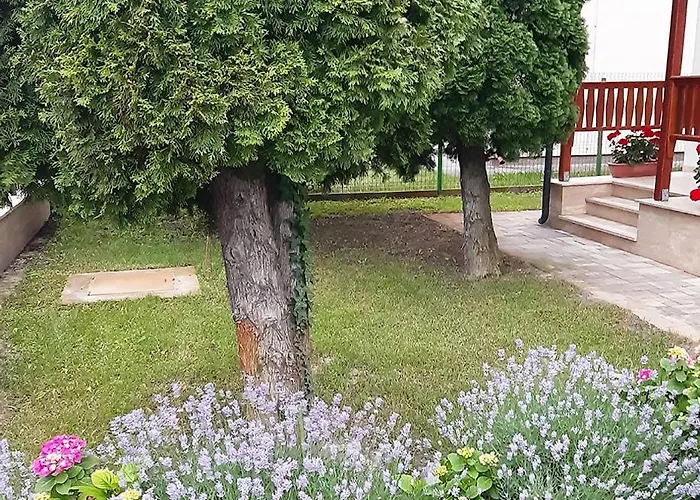 Little House With Garden Appartamento *